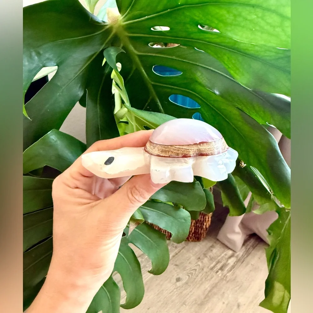 Turtle Figurine - Picture 3 of 7